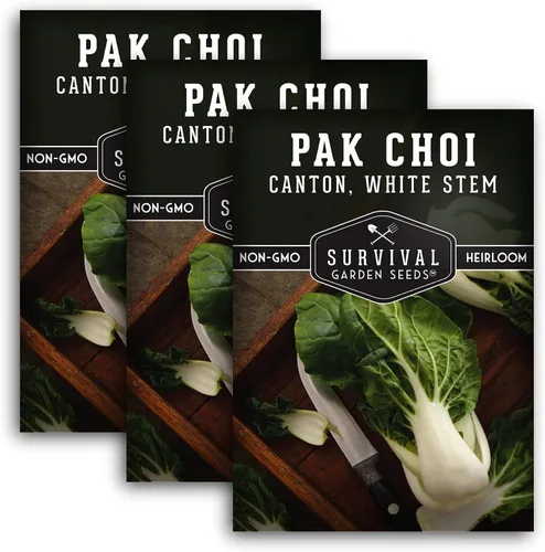 Miniatura 11 de Survival Garden Seeds - Semillas Pak Choi o Bok Choy de tallo blanco de cantón para plantar - 2 paquetes con instrucciones para cultivar Brassica