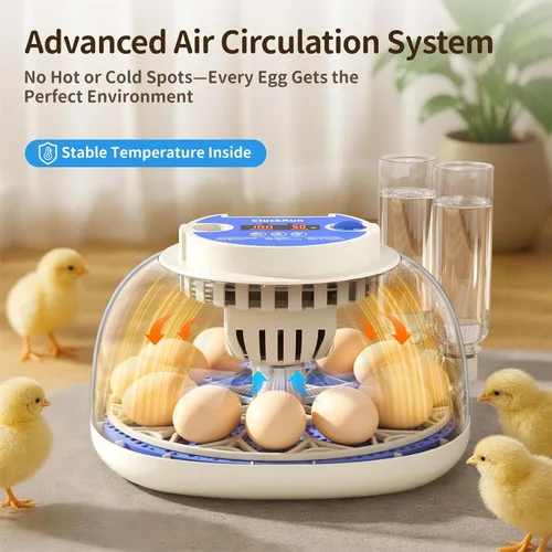 Miniatura 2 de Incubadora de 12 huevos con pantalla de temperatura y humedad, giro automático de huevos, vela de huevos, recarga automática de agua, para huevos