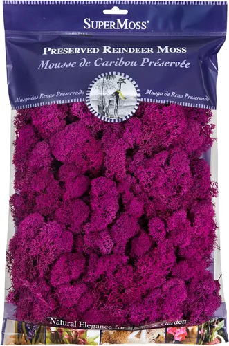Musgo preservado SuperMoss, Fucsia