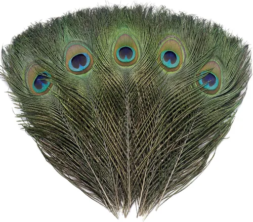 Ballinger 6 PCS Plumas de Ojo de Pavo Real Naturales Grandes de 10-12 pulgadas para Manualidades DIY, Decoraciones de Boda y Festivas