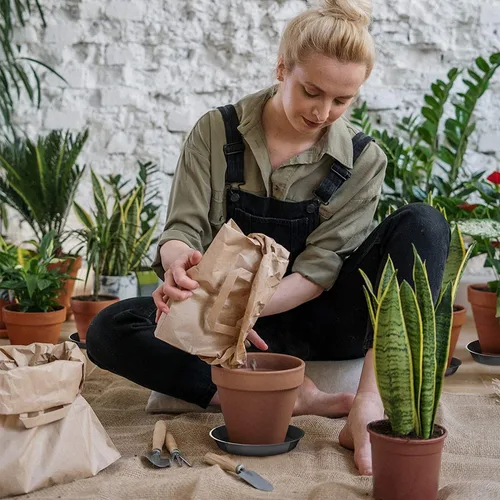 Miniatura 7 de Paquete de 6 platillos para plantas de 4, 6, 8 pulgadas, bandejas de plástico resistentes y duraderos, accesorios para macetas para interiores