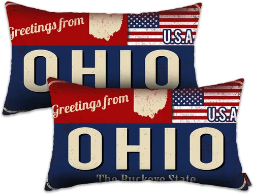 Miniatura 43 de Juego de 2 fundas de almohada de Florida de 12 x 20 pulgadas, decoración de recuerdo de Florida, funda de almohada lumbar con diseño de bandera