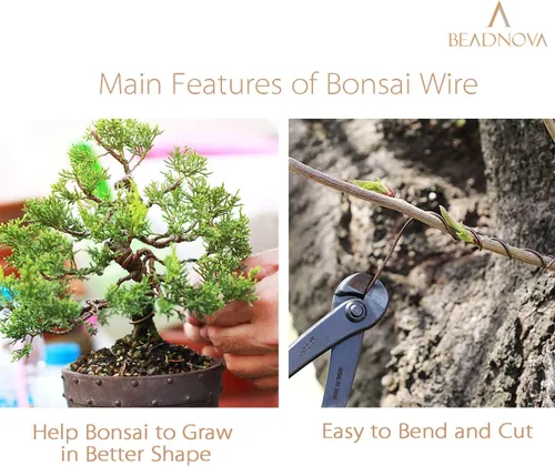Miniatura 4 de BEADNOVA Alambre de árbol bonsái de 98 pies, alambre de entrenamiento de árbol bonsái de aluminio verde para plantas de interior y exterior