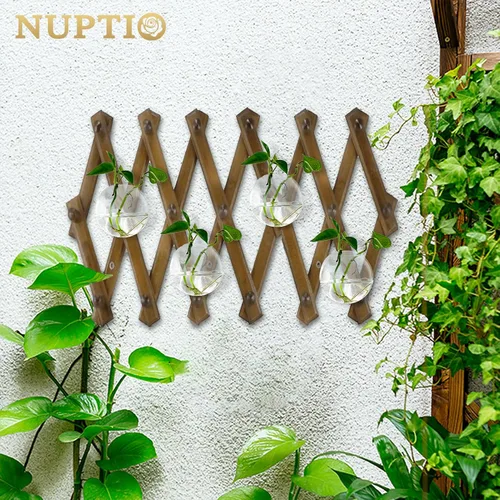 Miniatura 7 de NUPTIO Macetas de cristal para colgar en la pared: 4 jarrones transparentes de montaje en pared de terrario para interiores, oficina, jardín, sala