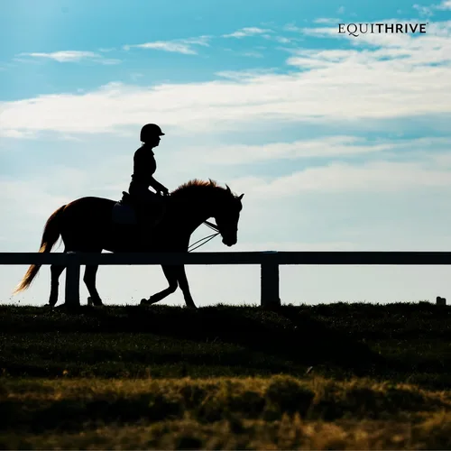 Miniatura 5 de Equithrive Suplemento clásico para articulaciones con glucosamina, condroitina, ácido hialurónico y MSM para caballos y caballos mayores, 10 libras