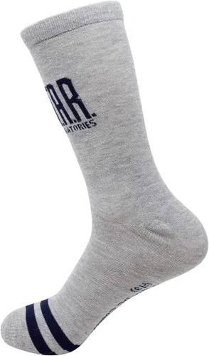 Miniatura 3 de Flash Calcetines grises The S.T.A.R. Labs, Gris