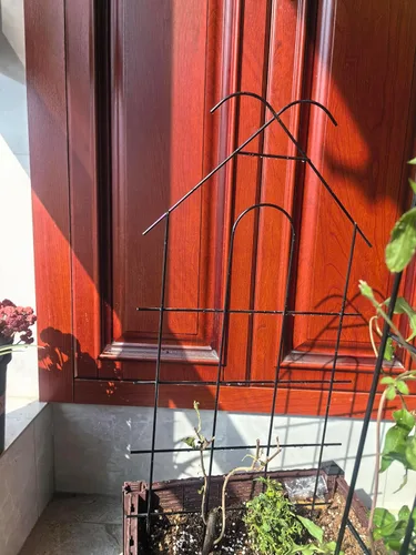 Miniatura 5 de ARIFARO Enrejado de metal de 24 pulgadas para plantas trepadoras, paquete de 4 enrejados para plantas en maceta, enrejado negro para interiores