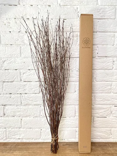 ECOVENIK 25 piezas – Ramas – 28.7 in, ramitas de abedul natural, paquete de 20-25 tallos, largo para jarrones de suelo, (color marrón natural)