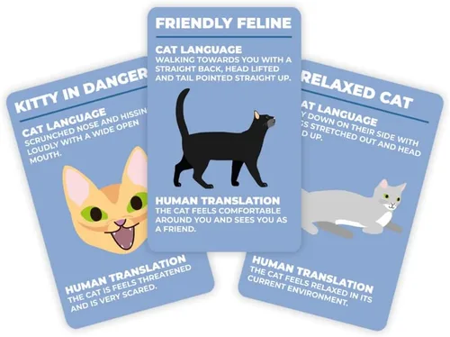 Miniatura 2 de Gift Republic How To Speak Cat 100 tarjetas regalo divertido para los amantes de los gatos Aprende lo que tu gatito está diciendo tarjetas