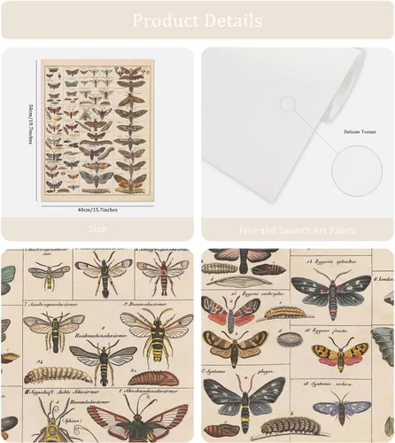 Miniatura 2 de Meishe Art Póster Impreso Vintage Polilla Insectos Razas Identificación Tabla de Referencia Colección de Especies Diagrama de Entomología Aula Club