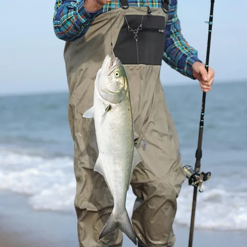 Miniatura 7 de Alwonder Paquete de 100 aparejos de pesca giratorios de 3 vías, acero inoxidable de 28 a 143 libras, níquel negro, conectores giratorios de pesca