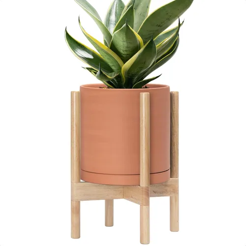 Miniatura 36 de D'vine Dev Maceta de cerámica con soporte de ébano – Maceta redonda moderna de 8 pulgadas con soporte para maceta de madera, color negro, 55-B-M-2