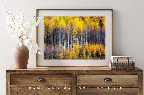 Miniatura 4 de Forest Photography Print (Not Framed) Picture of Aspen Trees Appearing as Reflection on Side of Mountain on Autumn Day at Maroon Bells Colorado