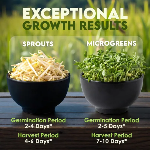 Miniatura 5 de Nature Jims Mung Bean Sprout Seeds – Semillas germinantes de 16 onzas – Semillas de frijol Mung Premium – Sin OMG – Bolsa resellable para una