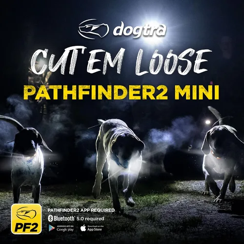 Miniatura 4 de Dogtra Pathfinder 2 Mini GPS Dog Tracker e Collar con Dogtra Titanium Puntos de contacto 3/4 pies Luz LED macho Sin tarifas mensuales Aplicación