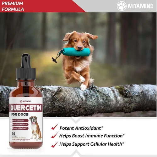Miniatura 2 de Quercetina para perros – Quercetina para alergias de perros – Ayuda a apoyar la salud inmunológica, alivio de alergias, salud cardíaca y mucho más