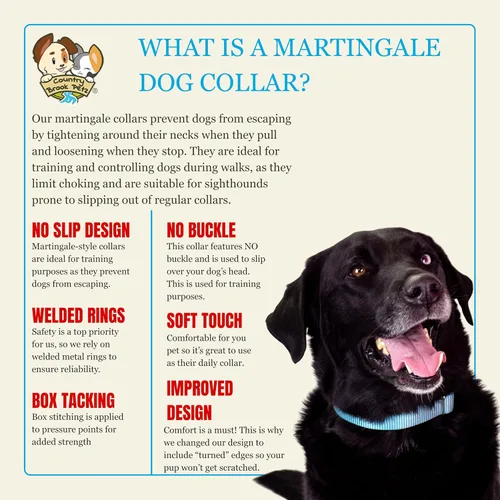 Miniatura 6 de Country Brook Petz - Collar para perro de nailon resistente Martingale de 15 colores (extra grande, 1 1/2 pulgadas de ancho, azul océano)