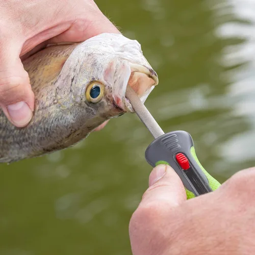 Miniatura 6 de SMITH'S MR. Crappie 51195 - Afilador de anzuelos y púas, color verde