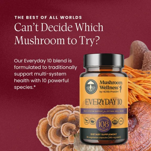 Miniatura 13 de Mushroom Wellness Everyday 10: Cápsulas orgánicas de hongos 10 en 1 con melena de león, shiitake, reishi, cola de pavo y más, suplemento en polvo