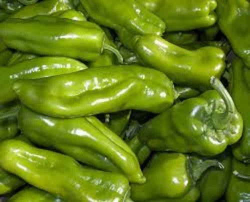 Pepper, semillas de pimiento dulce Cubanelle, sin OMG, 100 semillas por paquete, algunas prefieren el pimiento Cubanelle a los pimientos