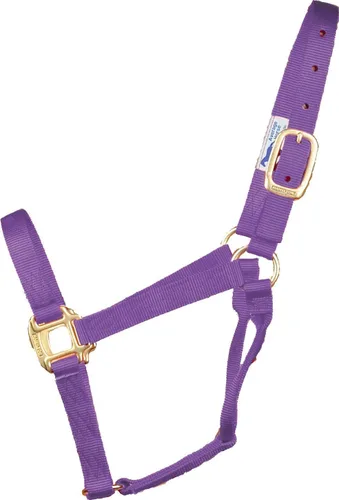 Miniatura 13 de Hamilton Quality Horse Halter, nailon de triple capa de 1 pulgada, anilla o burro estándar, 300-500 libras, rojo Rojo (Red Brick)
