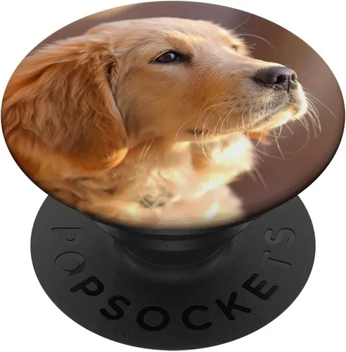 Golden Retriever Puppy – PopSockets Grip y soporte para teléfonos y tabletas