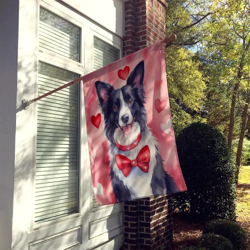 Miniatura 2 de Caroline's Treasures DAC5292CHF - Bandera de Border Collie My Valentine House para porche, grande, con manga para porche, para colgar en la pared