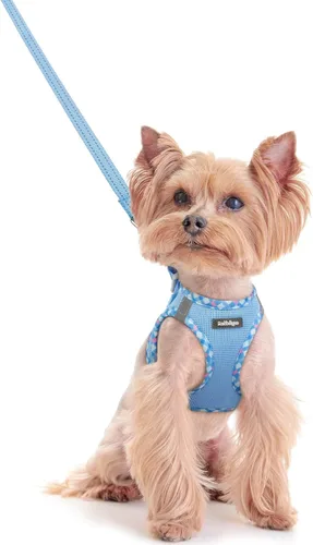 Miniatura 12 de rabbitgoo Juego de arnés para perro de tamaño pequeño y correa, chaleco ligero suave para cachorro, arnés de malla transpirable para mascotas