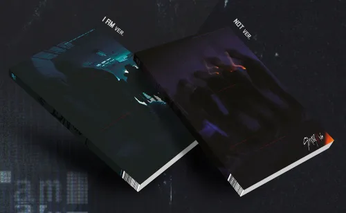 STRAY KIDS - I am NOT [I AM + NOT ver.] (1st Mini Album) 2 CDs+Photobooks+3Photocards+Official Group Folded Poster+2 Extra Photocards+2 BIRDO