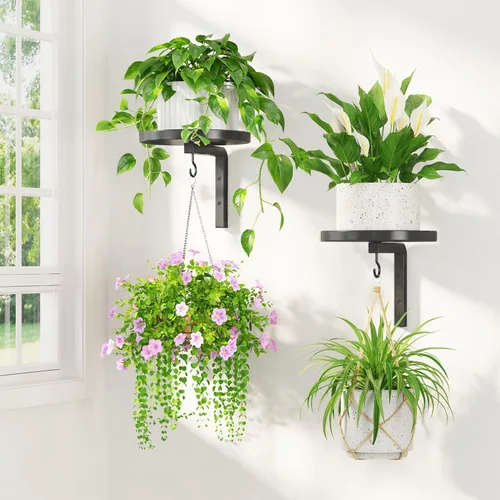 LASZOLA 2 piezas de estantes de pared para plantas con ganchos para macetas de interior, soportes flotantes de ventana de metal resistente para Negro