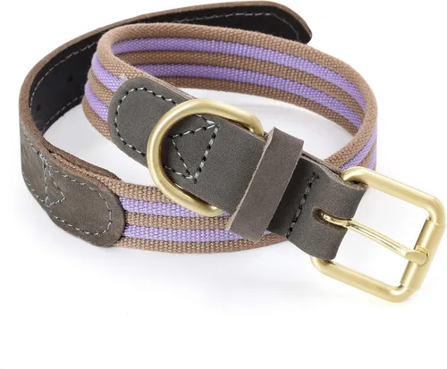 Miniatura 26 de Mile High Life Collares para perros, collares de algodón suave con hebilla de metal pesado, collar clásico para cachorros con puntas de cuero