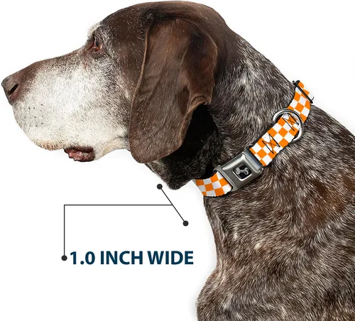 Miniatura 6 de Buckle-Down Checker White/Tan Orange Dog Collar Bone, Small/9-15