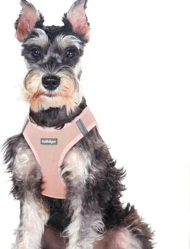 Miniatura 78 de rabbitgoo Arnés para perro pequeño, chaleco de malla suave para cachorros con hebilla de seguridad, arnés reflectante transpirable para mascotas