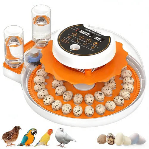 Quail Egg Incubator with Automatic Turner and Humidity Control,Bird Incubator Capable of Hatching 40 Quail Eggs, Poultry Egg Incubators with an