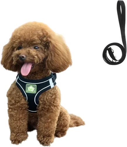 Miniatura 9 de Juego de arnés y correa para perro pequeño sin tirones, arnés a prueba de escape, chaleco de malla transpirable, arnés reflectante ajustable