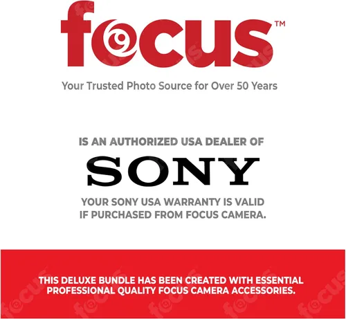 Miniatura 3 de Sony A6400 - Cámara digital sin espejo (solo cuerpo) con tarjeta SDXC de 64 GB de alta velocidad, kit de filtro, 3 baterías, cargador USB, Corel
