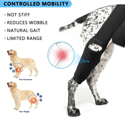 Miniatura 2 de Rodillera para perro para desgarro del ligamento cruzado anterior, soporte elástico, estabilizador de compresión ajustable, neopreno transpirable