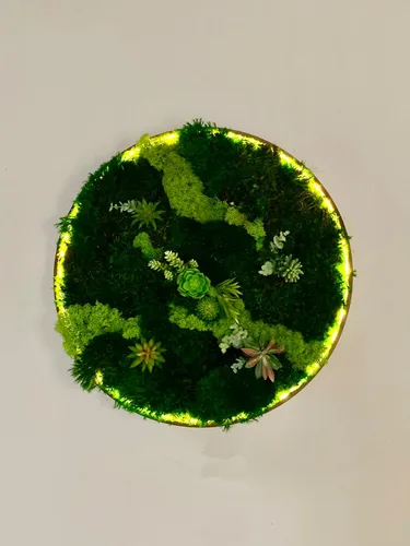 Miniatura 2 de Luxury Round Framed with Light Green Moss Art Luxury Vertical Garden Wall Designed Home Decor Office Commercial