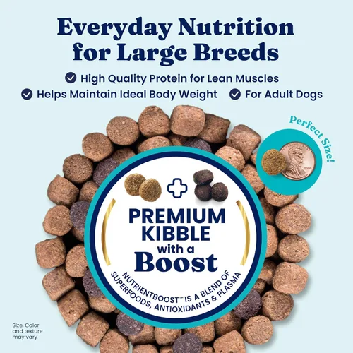 Miniatura 2 de Solid Gold Bison Alimento seco para perros grandes – Alto en proteína, croquetas de grano entero con bisonte real, arroz integral y Omega 3