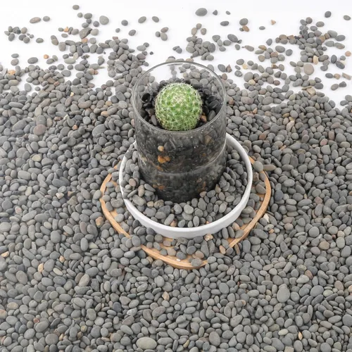 Miniatura 12 de Black Rock, CJGQ - Piedras de río de 3 libras para plantas suculentas, rocas decorativas para jardines de paisajismo al aire libre, piedras