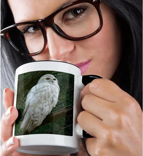 Miniatura 2 de 3dRose mug_154800_4 - Taza con diseño de búho blanco nieve posado en una rama contra un fondo verde, 11 onzas, color negro