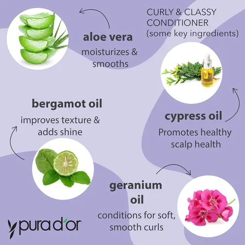 Miniatura 3 de PURA D'OR Curly & Classy - Juego de champú y acondicionador para rizos definidos, fórmula nutritiva con aceites de semillas de argán, ricino