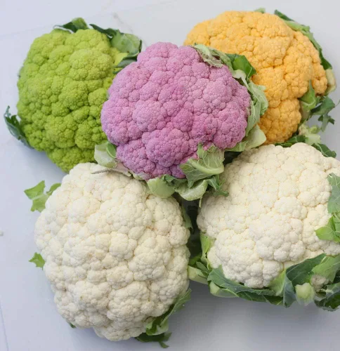 Miniatura 2 de Semillas de col de coliflor Mezcla de vegetales no transgénicos para plantar
