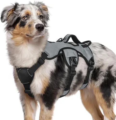 Miniatura 19 de rabbitgoo - Arnés para perro a prueba de fugas, arnés para mascotas acolchado suave de cuerpo completo, chaleco reflectante ajustable sin tirones