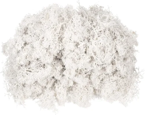 Miniatura 23 de MECCANIXITY Musgo de reno preservado de 4.6 onzas, musgo artificial decorativo gris para plantas en maceta, manualidades de interiores, centros