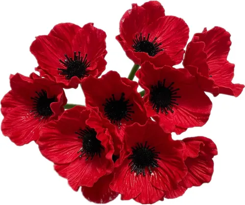 Miniatura 4 de Rikyo 10 ramos de flores artificiales de 11 pulgadas, flores de amapola, anémona que no se decoloran, flores silvestres falsas para mesa de cocina