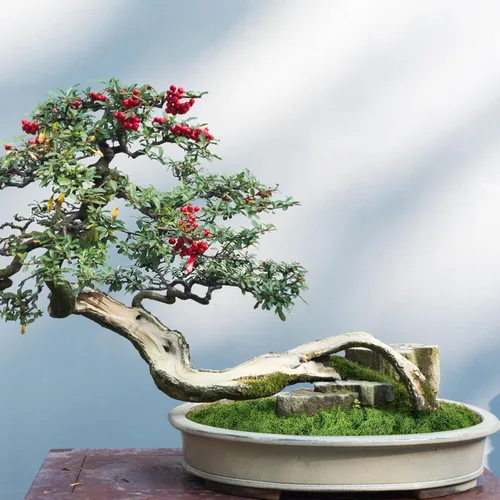 Miniatura 7 de Musgo verde falso, musgo artificial de 5.3 onzas para manualidades, musgo sintético para plantas de interior, musgo verde para decoración