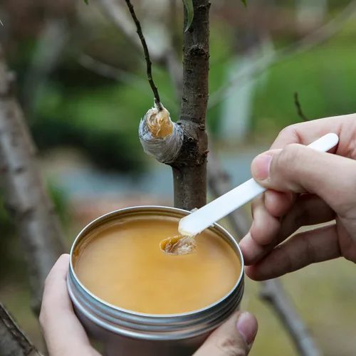 Miniatura 5 de Juego de cera para injerto de árbol, sellador de poda de heridas de árbol con cinta de sellado, cera de injerto para rosas, fruta, bonsái, arbustos