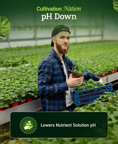 Miniatura 3 de FoxFarm Cultivation Nation pH Down for Plants' Soluciones de nutrientes - Formulado con ácido cítrico para ajuste - Ideal para suelos e hidroponía