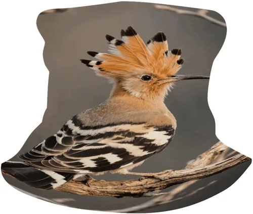 Miniatura 6 de Hoopoe Neck Gaiter Breathable & Moisture-Wicking Face Mask Bandana Balaclava Sun Protection Face Cover Scarf Lightweight Seamless Design for Outdoor